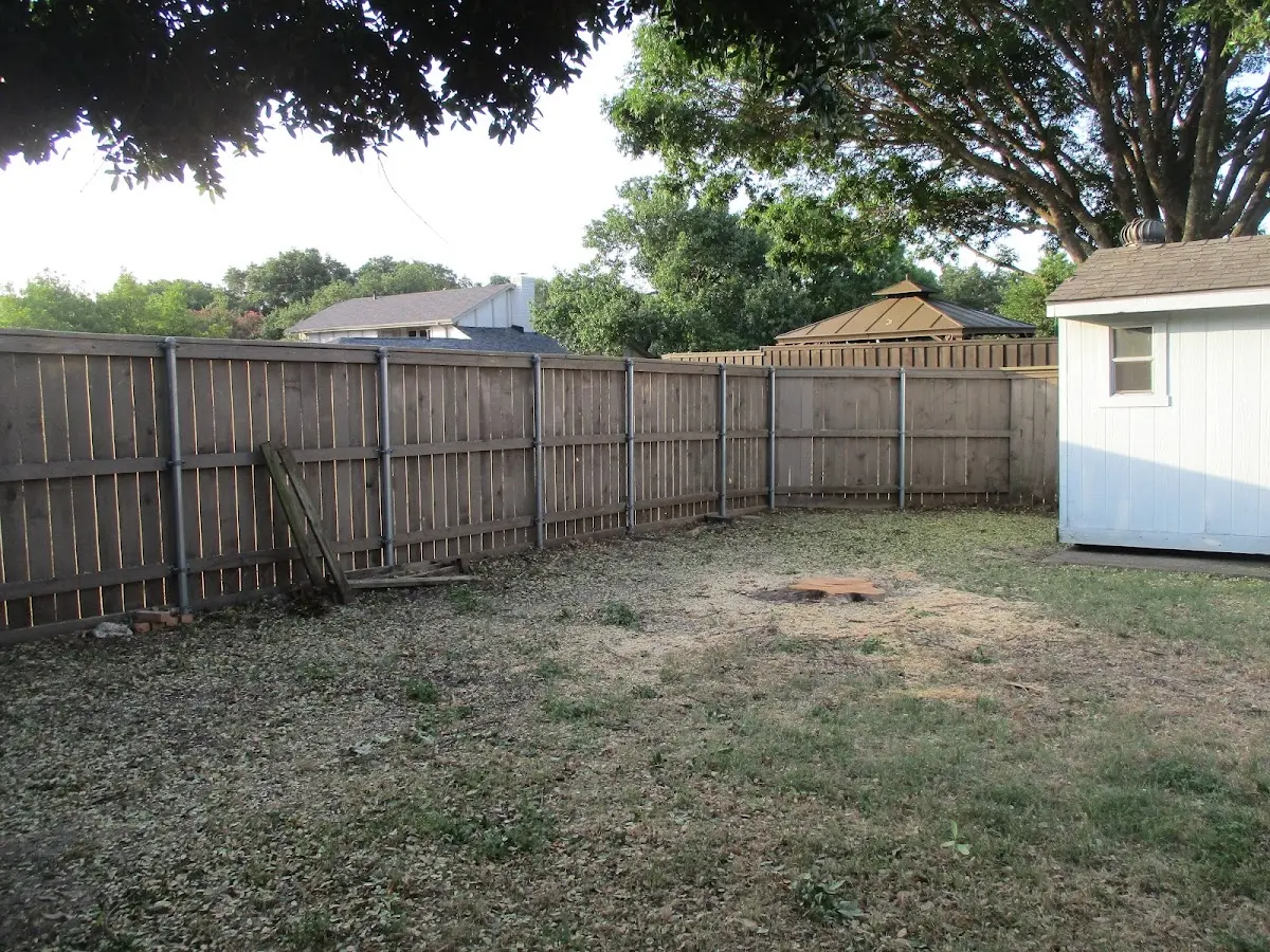 Cleared yard after professional tree removal in Piffard